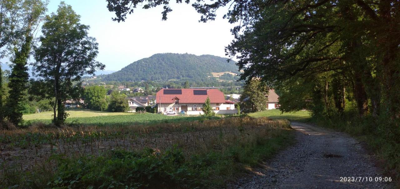Gite De Cret Vial Alby-sur-Cheran ภายนอก รูปภาพ
